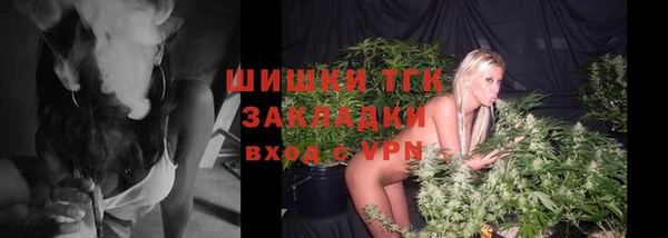 круглые Пересвет