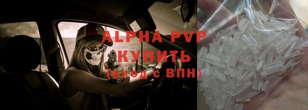 твердый Арсеньев