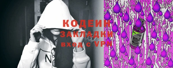 круглые Пересвет