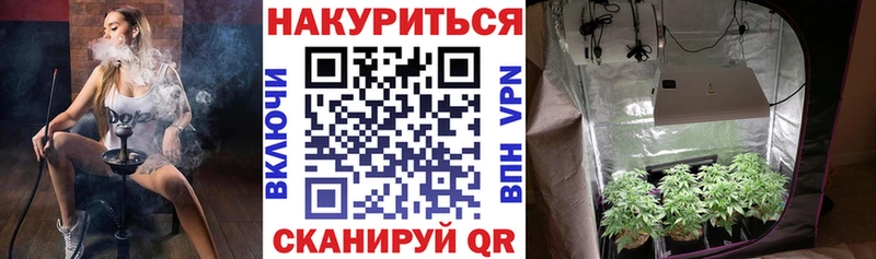 blacksprut зеркало Кириши Шишки марихуана LSD WEED